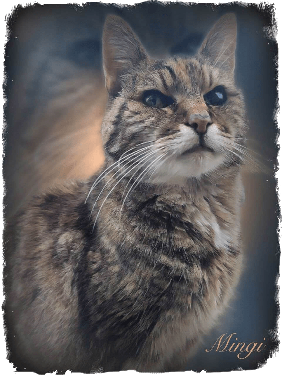 Portrait of Lady Mingi